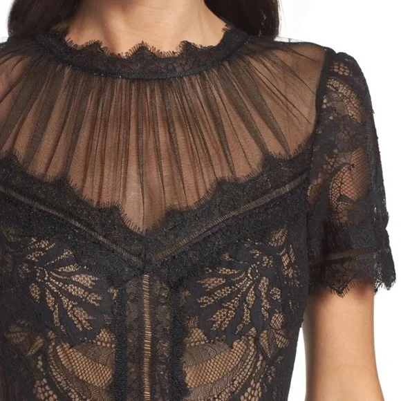 TADASHI SHOJI Camilla Lace Tea-Length Dress - Picture 3 of 7